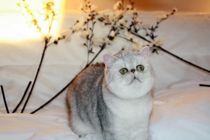 405998_266871340040639_1588288641_n