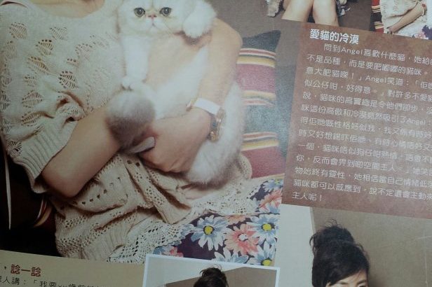 893637_228794833927860_827560829_o