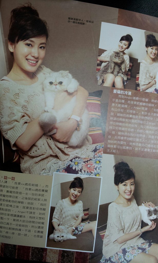 893637_228794833927860_827560829_o