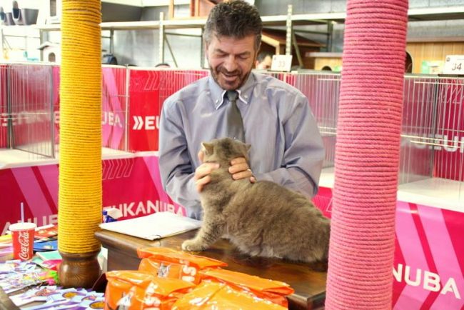 11023332_851396431588124_6554963976294138621_n