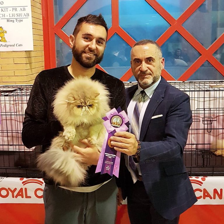 28424690_1737654636295628_4731386677579822026_o