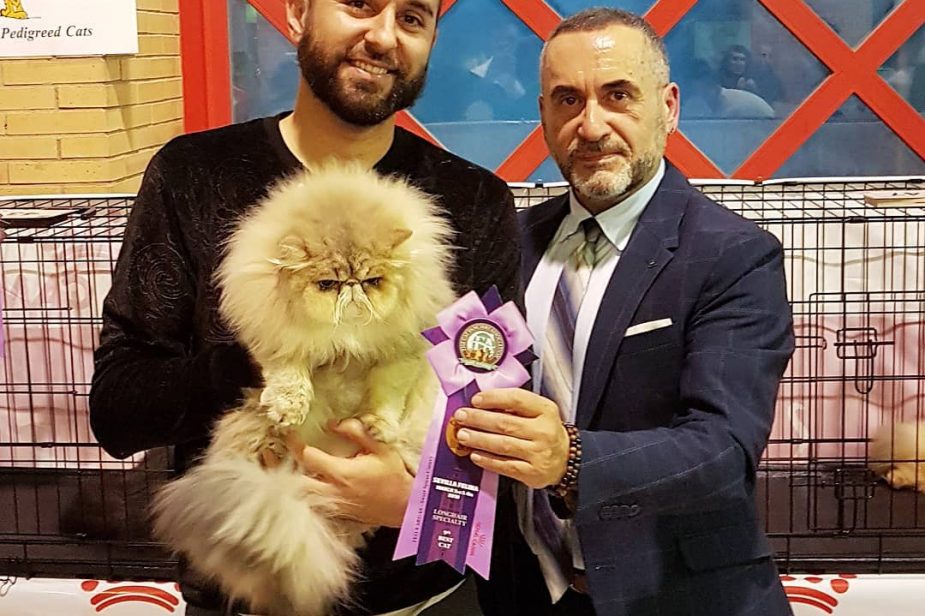 28424690_1737654636295628_4731386677579822026_o