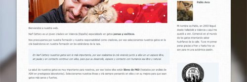 narfcatteryweb narcattery.com