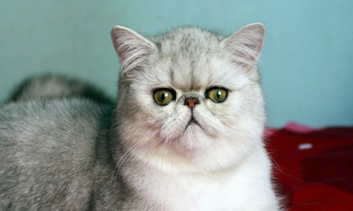 197451_155260617868379_1708577_n