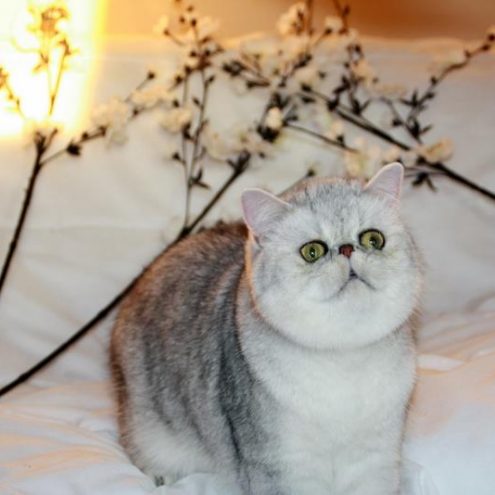 405998_266871340040639_1588288641_n