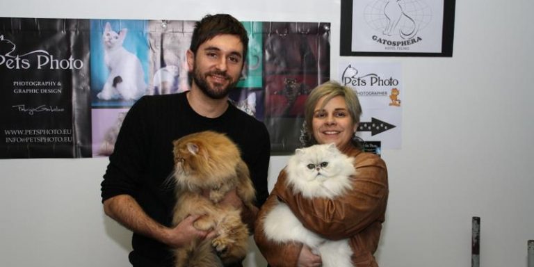 603950_479233655471072_736546183_n