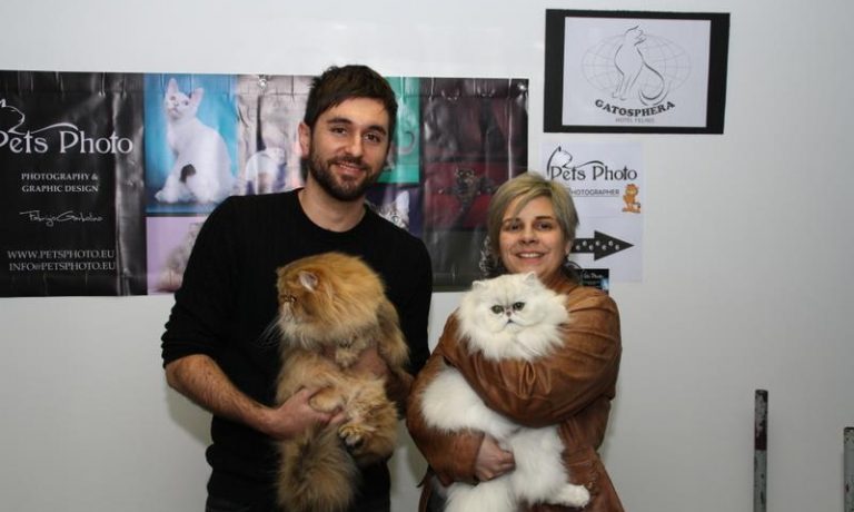 603950_479233655471072_736546183_n