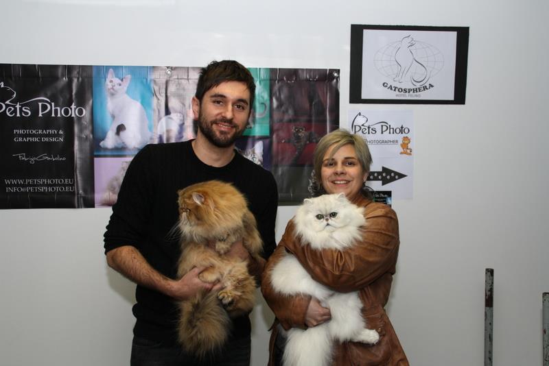 603950_479233655471072_736546183_n