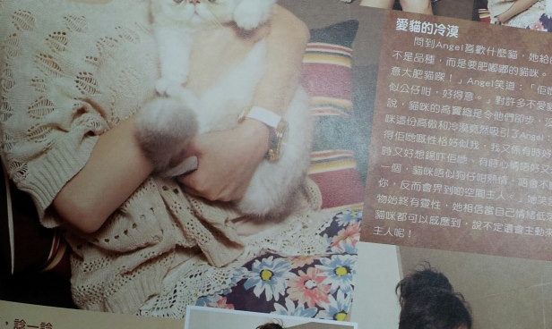 893637_228794833927860_827560829_o