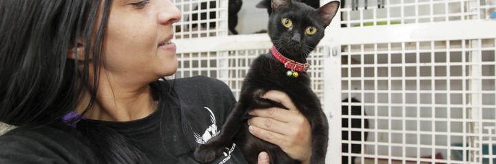 VALENCIA/// Reportaje sobre gatos negros