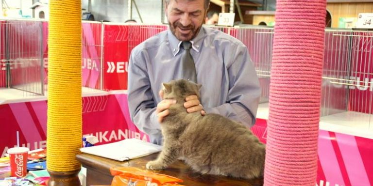 11023332_851396431588124_6554963976294138621_n