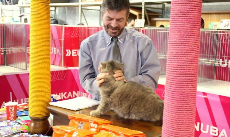 11023332_851396431588124_6554963976294138621_n