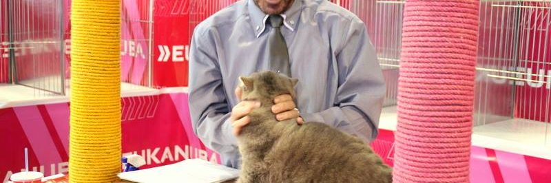 11023332_851396431588124_6554963976294138621_n