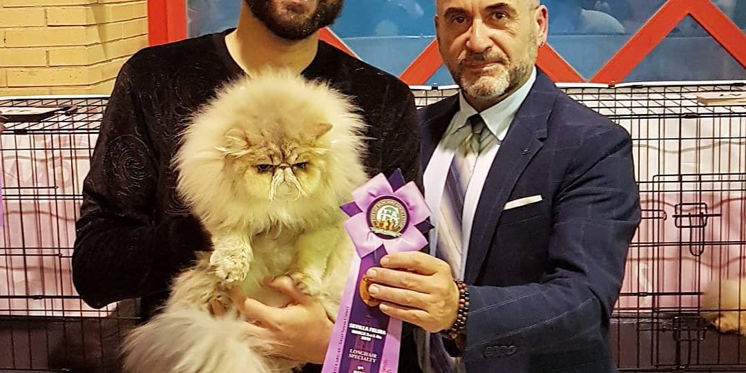 28424690_1737654636295628_4731386677579822026_o